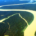 Amazônia e sua importância para o mundo